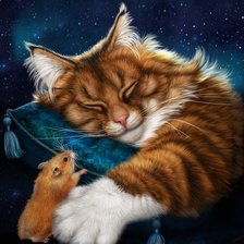 Схема вышивки «рыжий кот»