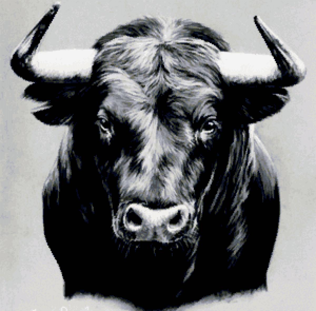 бык - предпросмотр