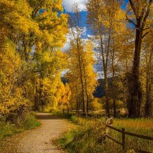 Схема вышивки «Пейзаж осени»