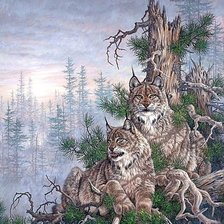 Схема вышивки «Рыси»