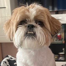 Схема вышивки «ВОРЧУН»