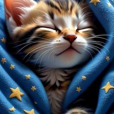 Схема вышивки «Спокойной ночи»