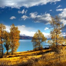 Схема вышивки «Пейзаж осени»