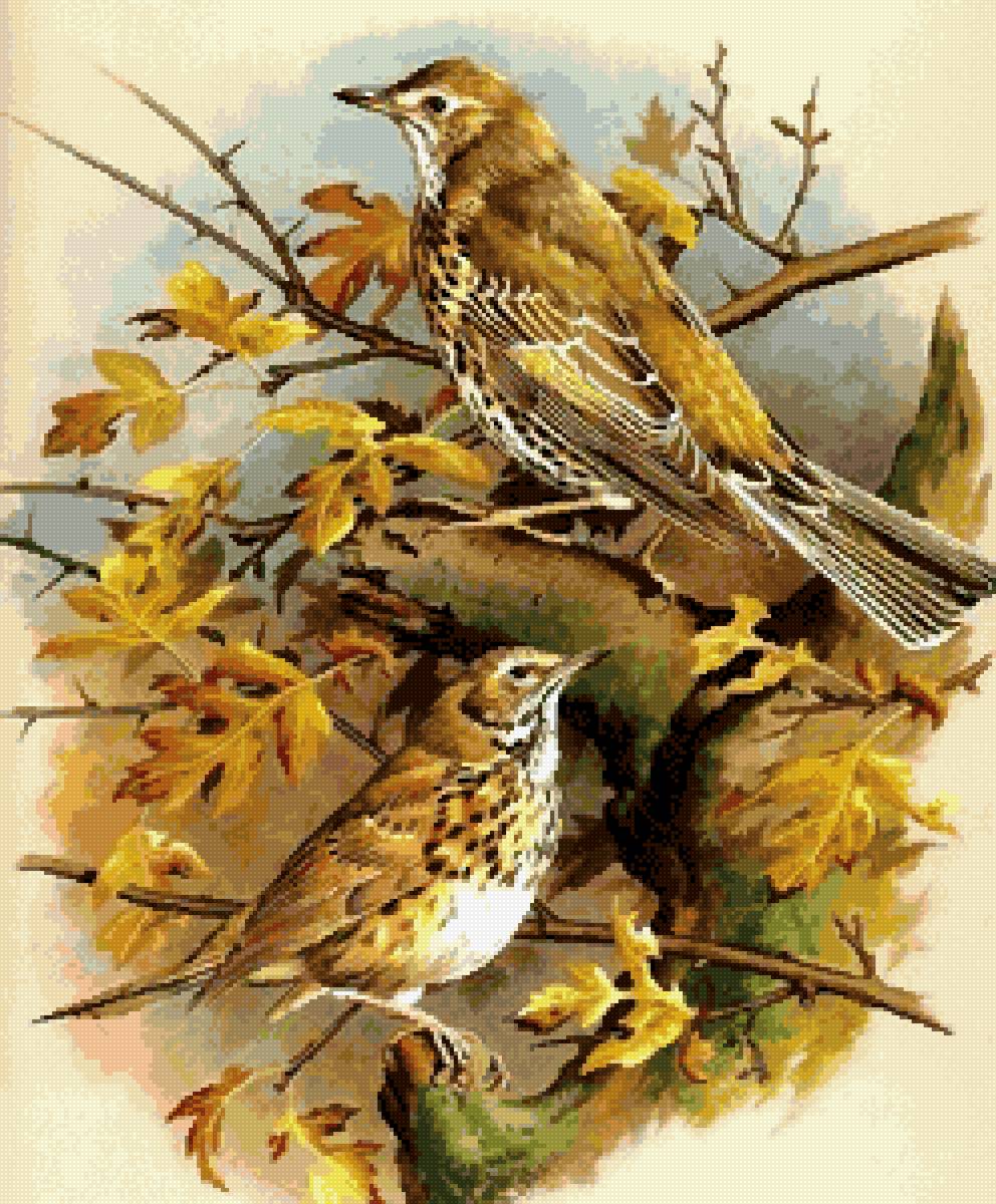 №2785598 - предпросмотр