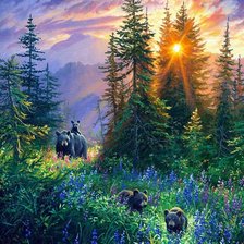 Схема вышивки «Худ. Абрахам  Хантер»