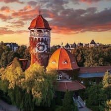 Схема вышивки «Раушен»