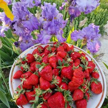 Схема вышивки «Летний аромат»