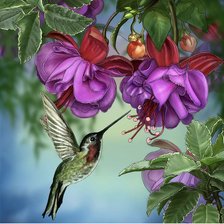 Схема вышивки «Колибри»