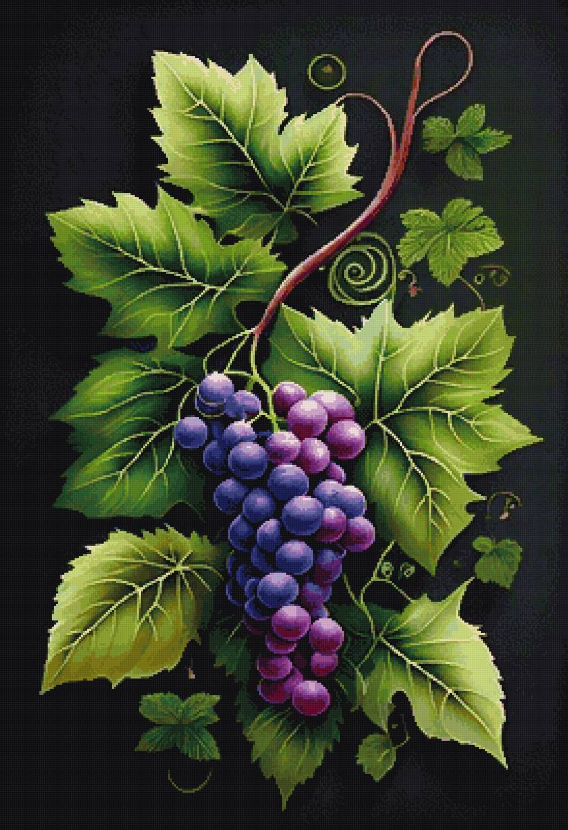 Виноград - предпросмотр