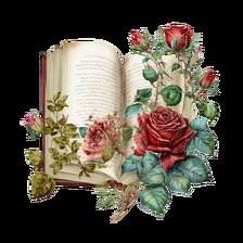 Схема вышивки «Раза на книге»