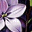Предпросмотр схемы вышивки «№2788371»