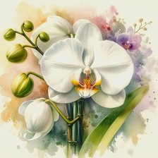 Схема вышивки «Орхидея 2»