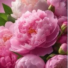 Схема вышивки «Пионы»