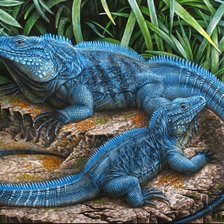 Схема вышивки «№2788552»