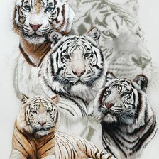 Схема вышивки «Семейство кошачих»