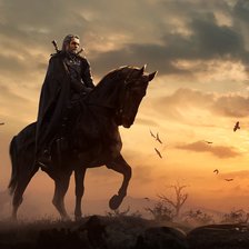 Схема вышивки «Ведьмак на Плотве»