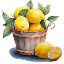 Схема вышивки «Лимоны»