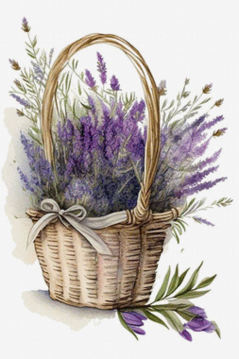 Лаванда - лаванда - предпросмотр