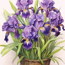 Схема вышивки «Ирисы в корзине»