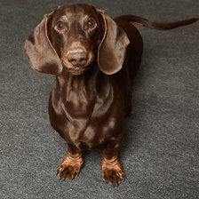 Схема вышивки «Кирк»