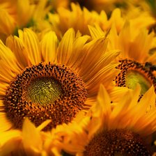 Схема вышивки «№2790508»