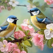 Схема вышивки «Птички»