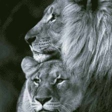 Схема вышивки «Liūtukai ;)»