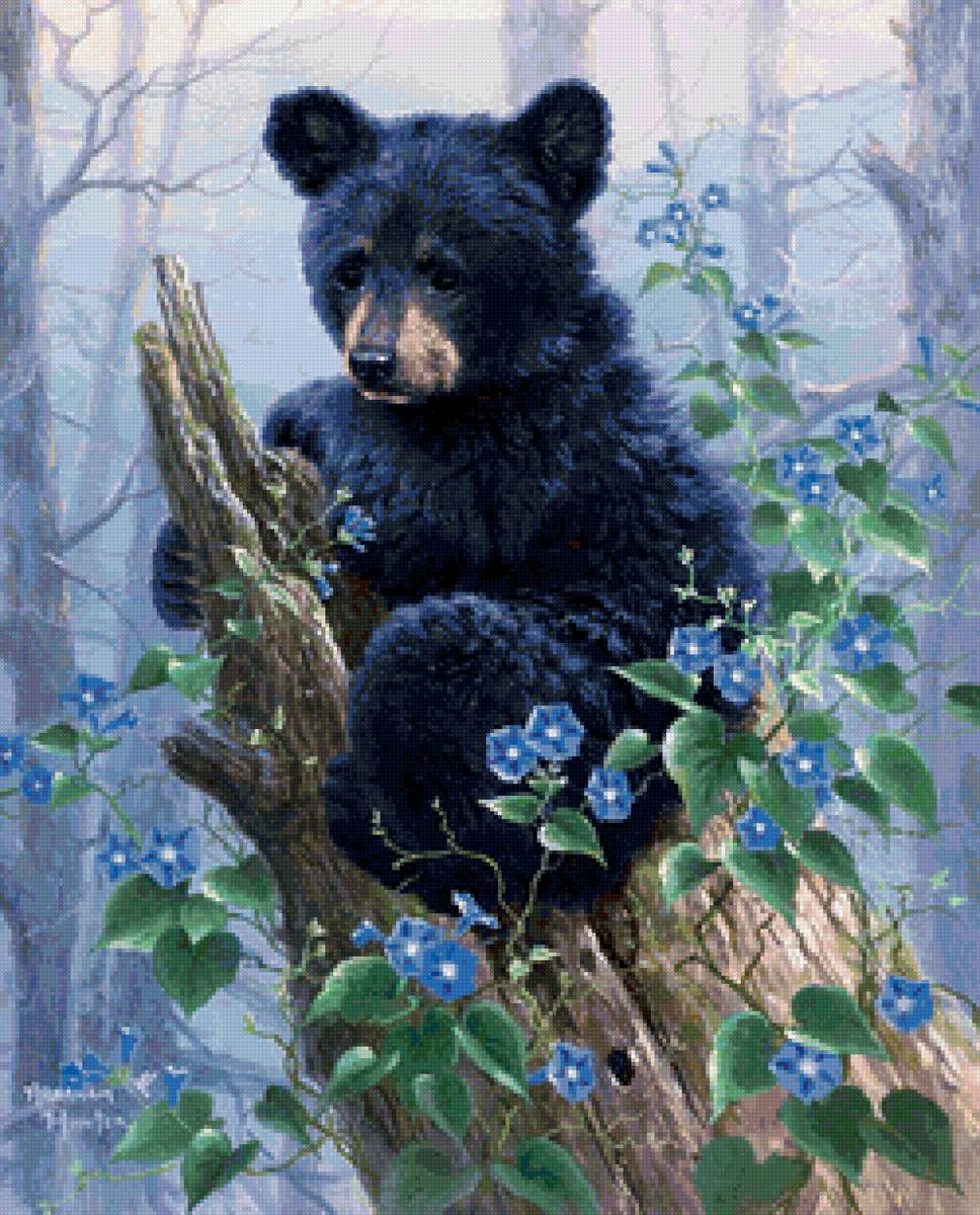 Миша - предпросмотр