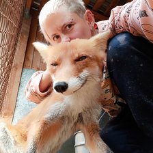 Схема вышивки «Лис Людвиг»