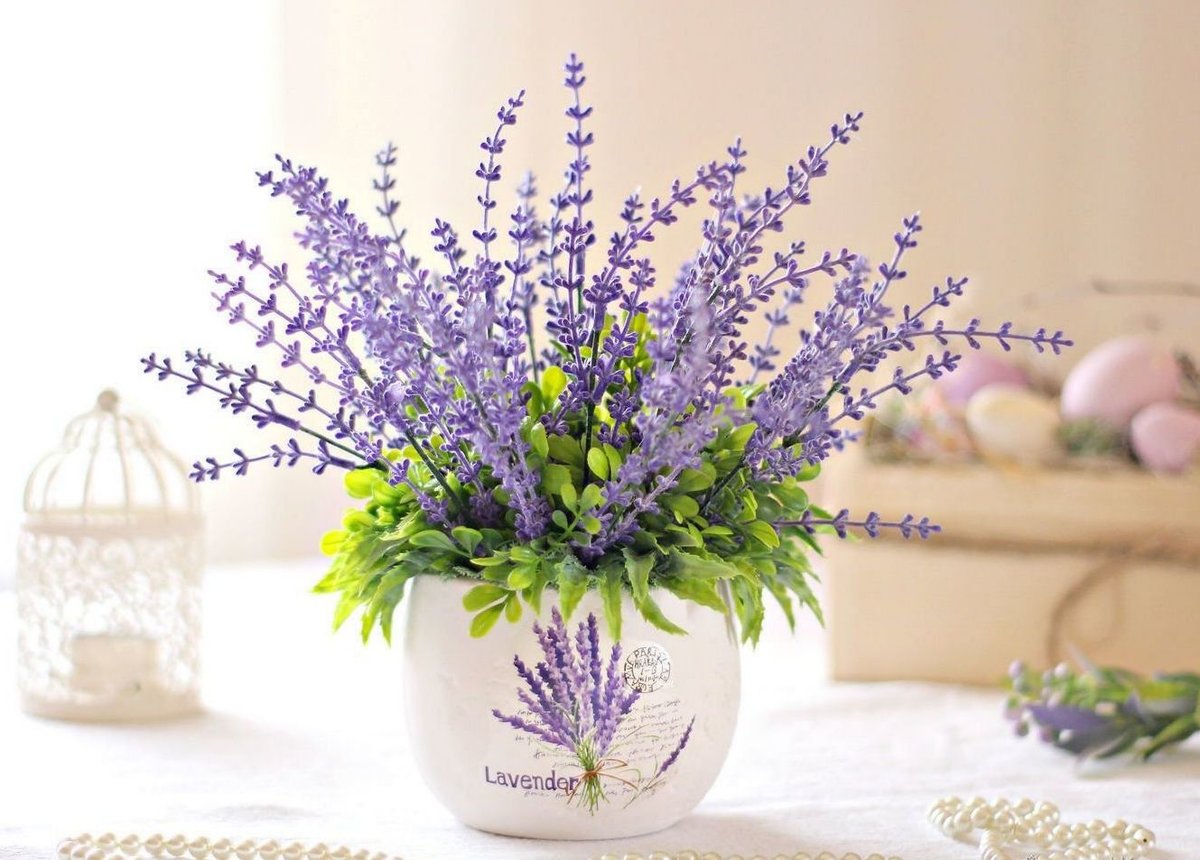 Лаванда - нежность, букет, прованс, цветы, романтика, лаванда - оригинал