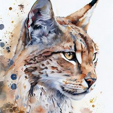 Каприз художника