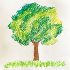 Child's Drawing of a Tree