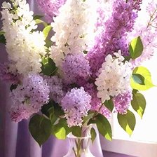 Схема вышивки «Букет сирени»