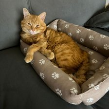 Схема вышивки «Кукусик»