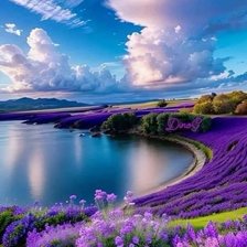 Схема вышивки «Лавандовый берег»