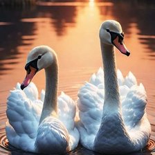 Схема вышивки «Лебединая пара»