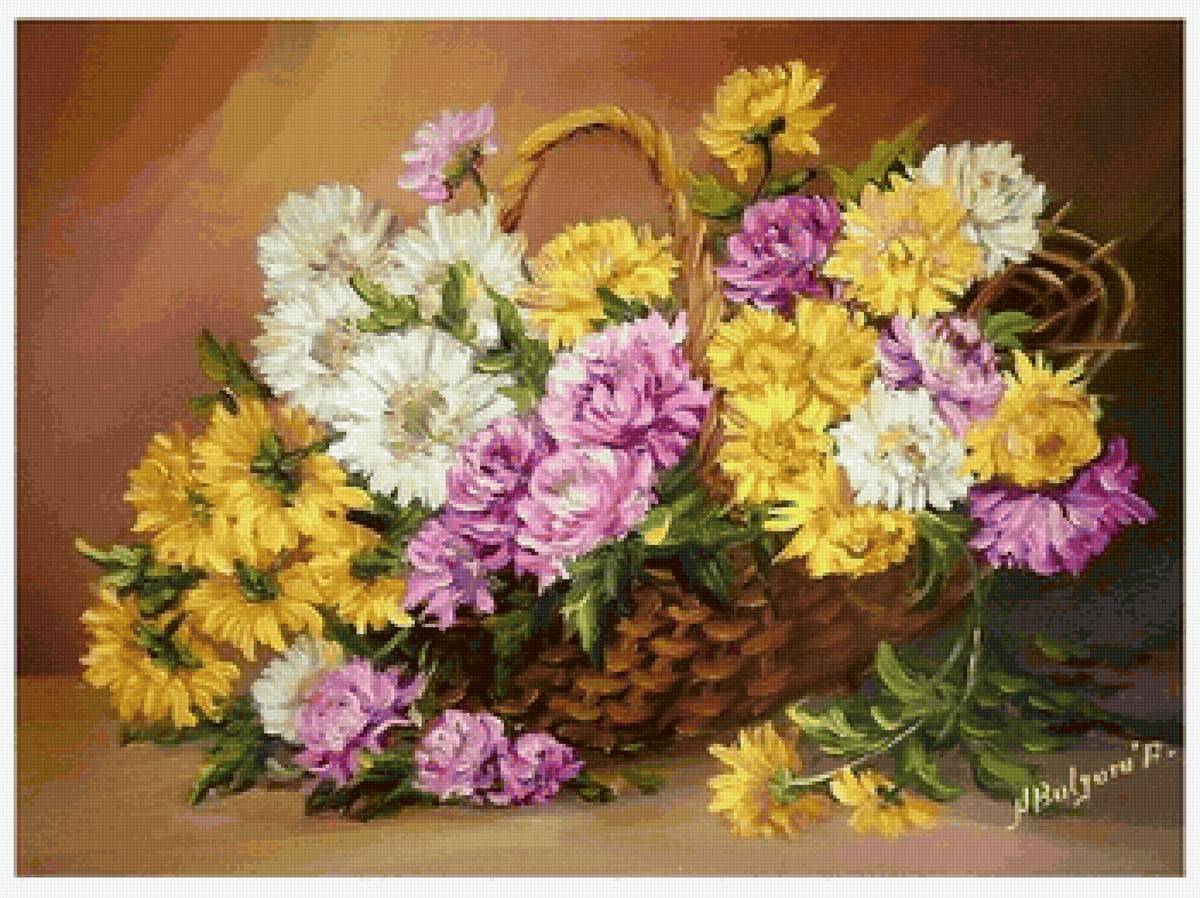 Букет астров - астры - предпросмотр