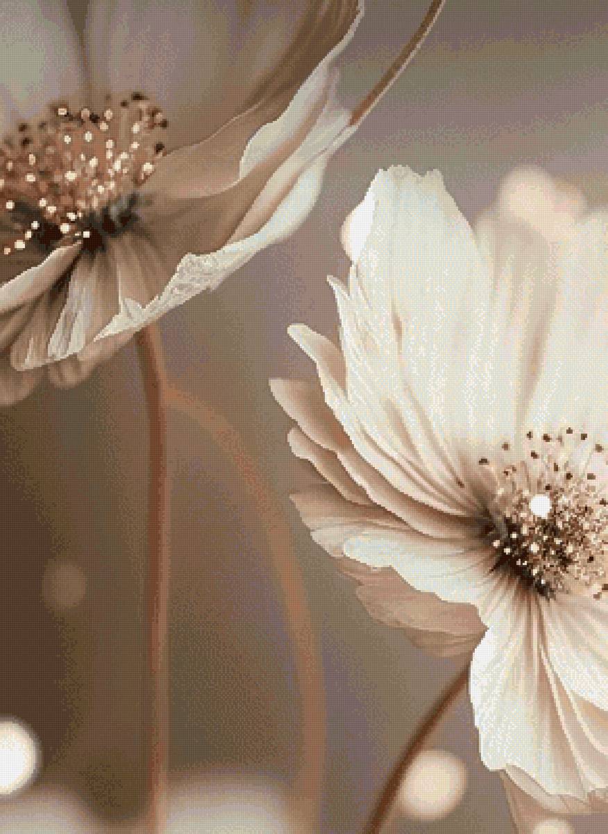 ромашки - цветы - предпросмотр