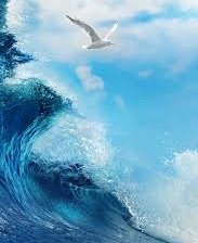 Схема вышивки «буревестник»