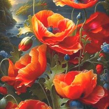 Схема вышивки «Маки»