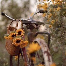 Схема вышивки «№2793538»