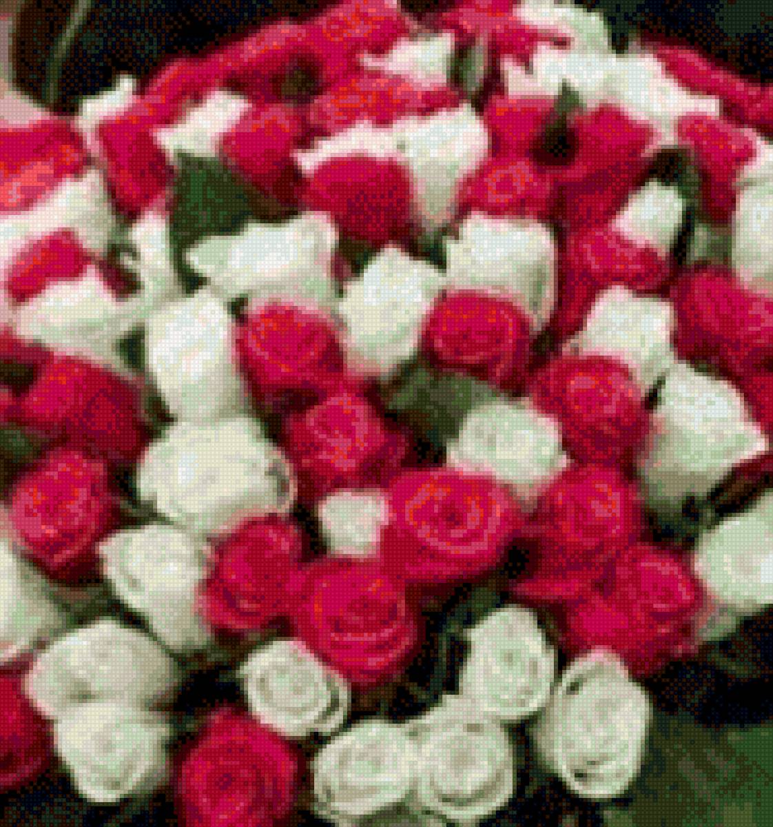 Букет роз - букет роз - предпросмотр