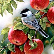Схема вышивки «синица на яблоне»