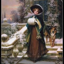 Зимняя роза