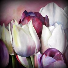 Схема вышивки «Тюльпаны»