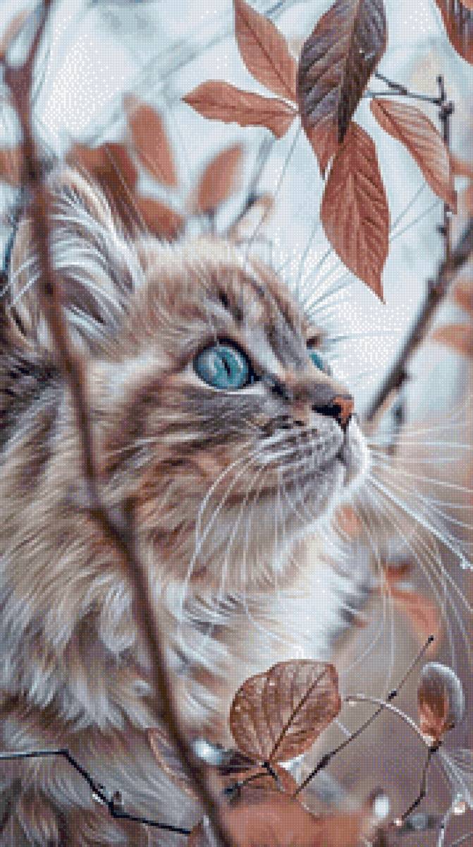 Осень - кот, домашние животные - предпросмотр