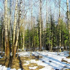 Схема вышивки «Начало весны»