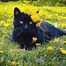 Схема вышивки «№2795139»