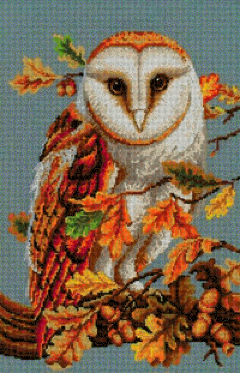 Buo - предпросмотр