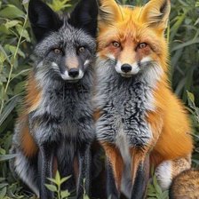 Схема вышивки «Лисята»